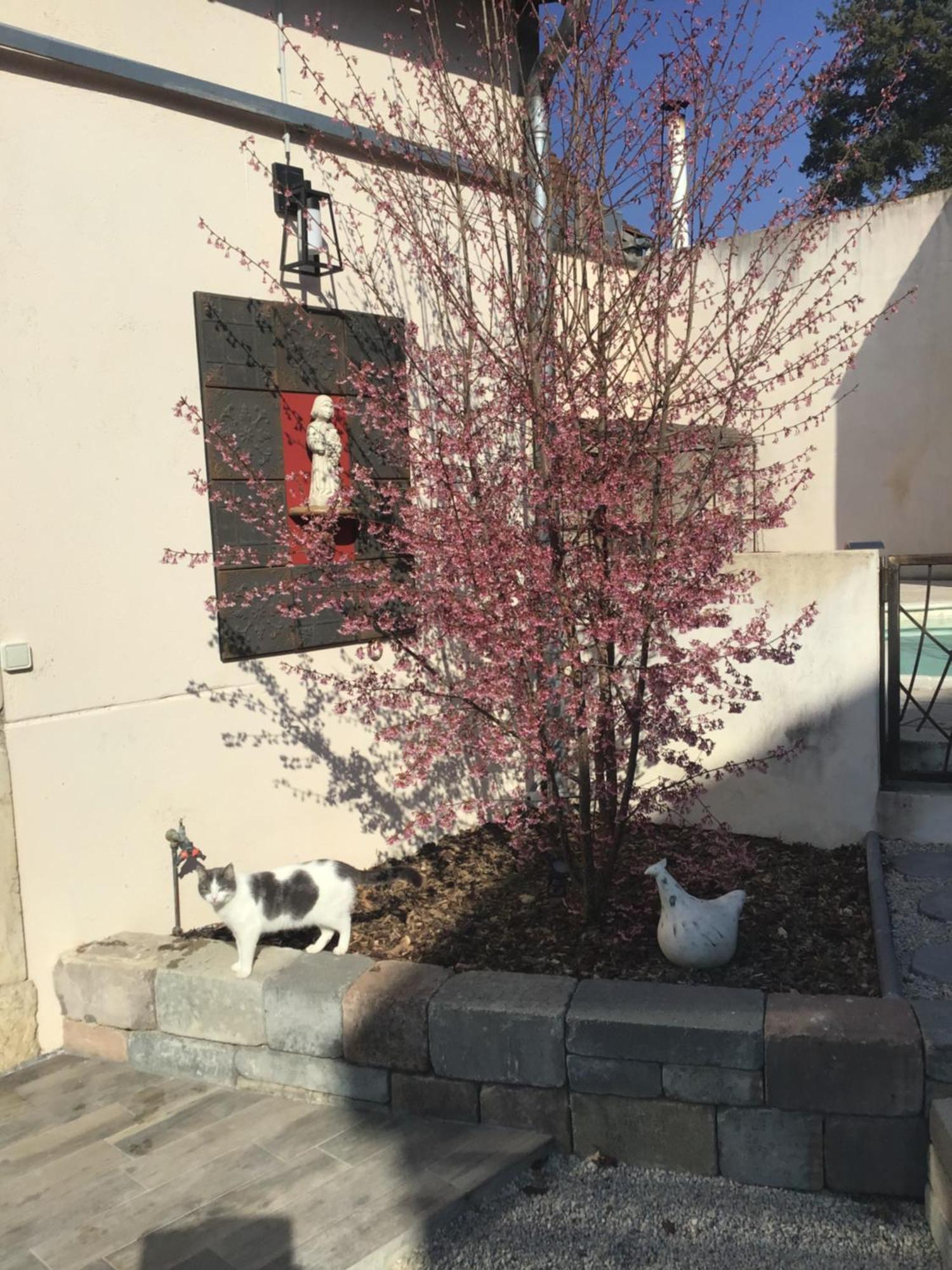 Ma Maison Beaune  Zewnętrze zdjęcie
